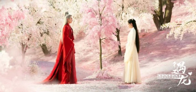 800万前摄+强续航 荣耀畅玩5A全面评测攻略